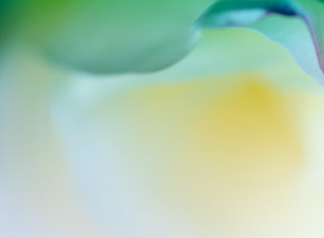 Apple Bloesem