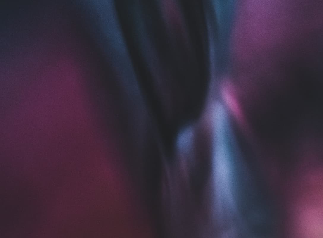 Vijg