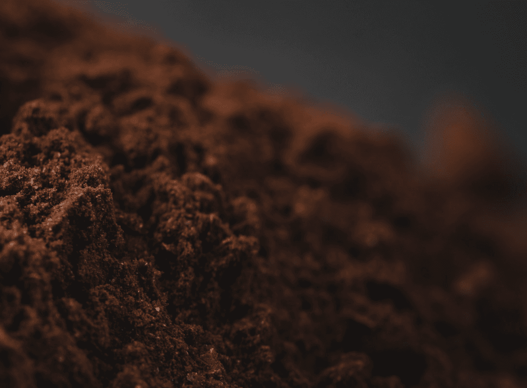 Cacao & Koffie