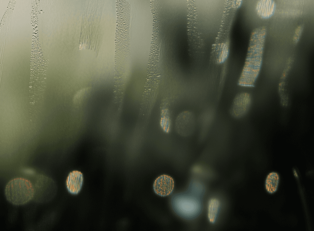 Na de regen